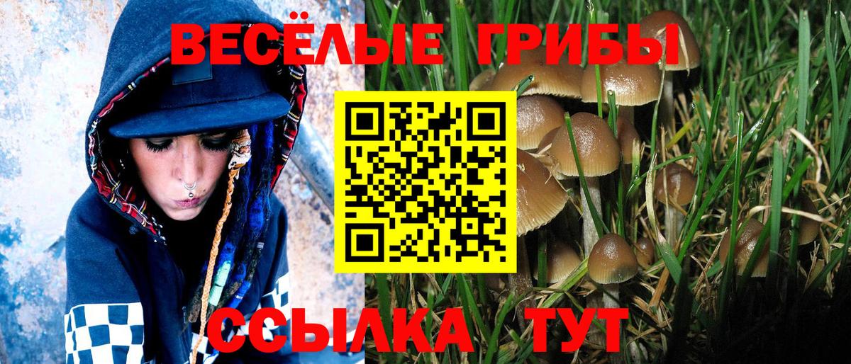 Псилоцибиновые грибы прущие грибы Усть-Илимск