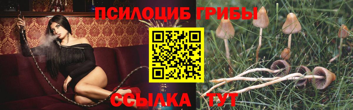 Галлюциногенные грибы мицелий  Псилоцибиновые грибы GOLDEN TEACHER  Усть-Илимск  Вход с VPN 